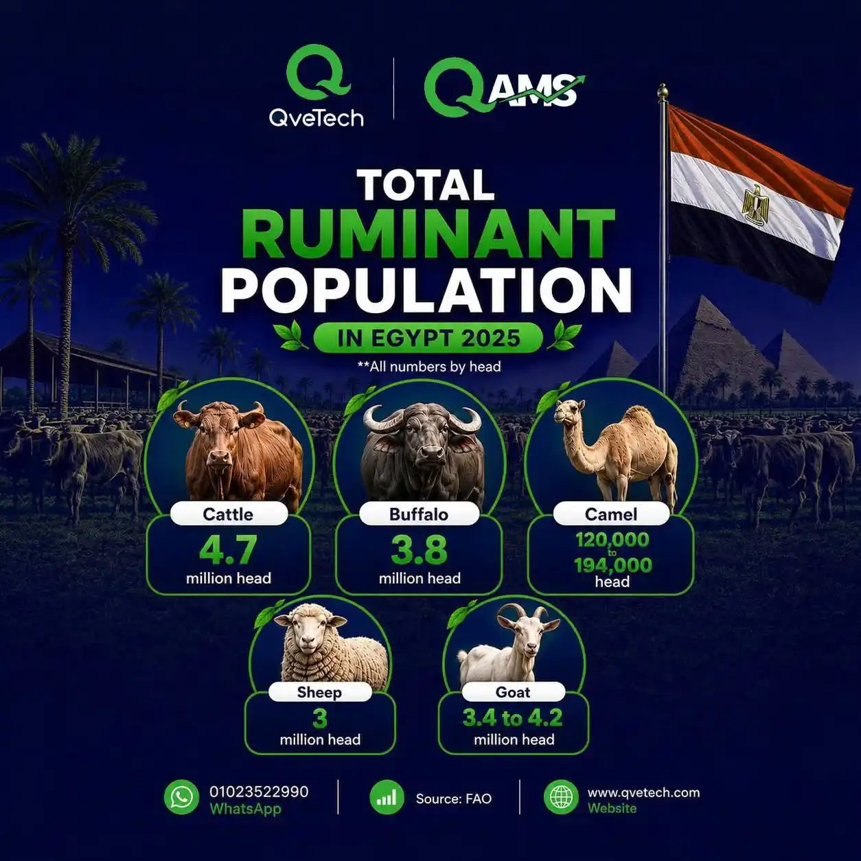 Poultry Population Egypt